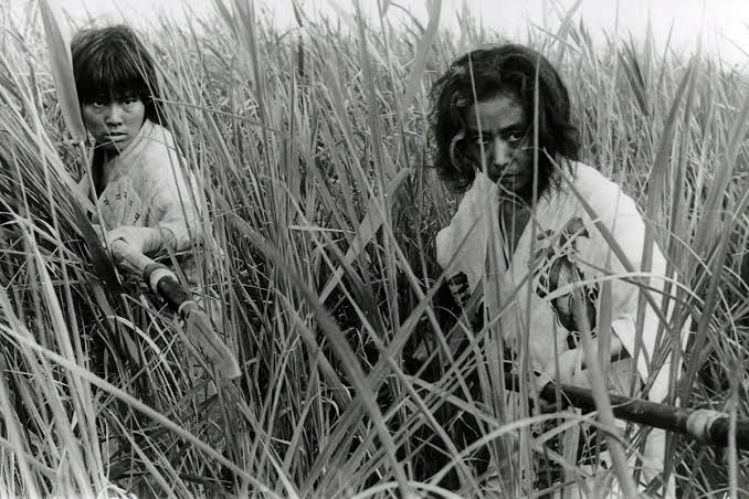 Onibaba Film Screencap