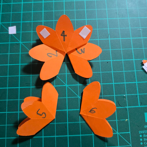 Combine petals 5 and 6